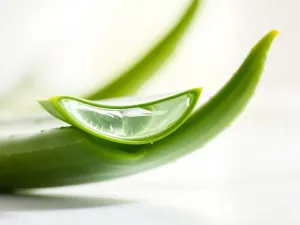 Jak wykorzystać liście aloesu na twarz? Naturalna pielęgnacja krok po kroku